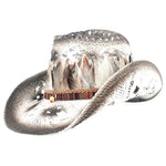 Chapeau de Cowboy avec Plume Style Country